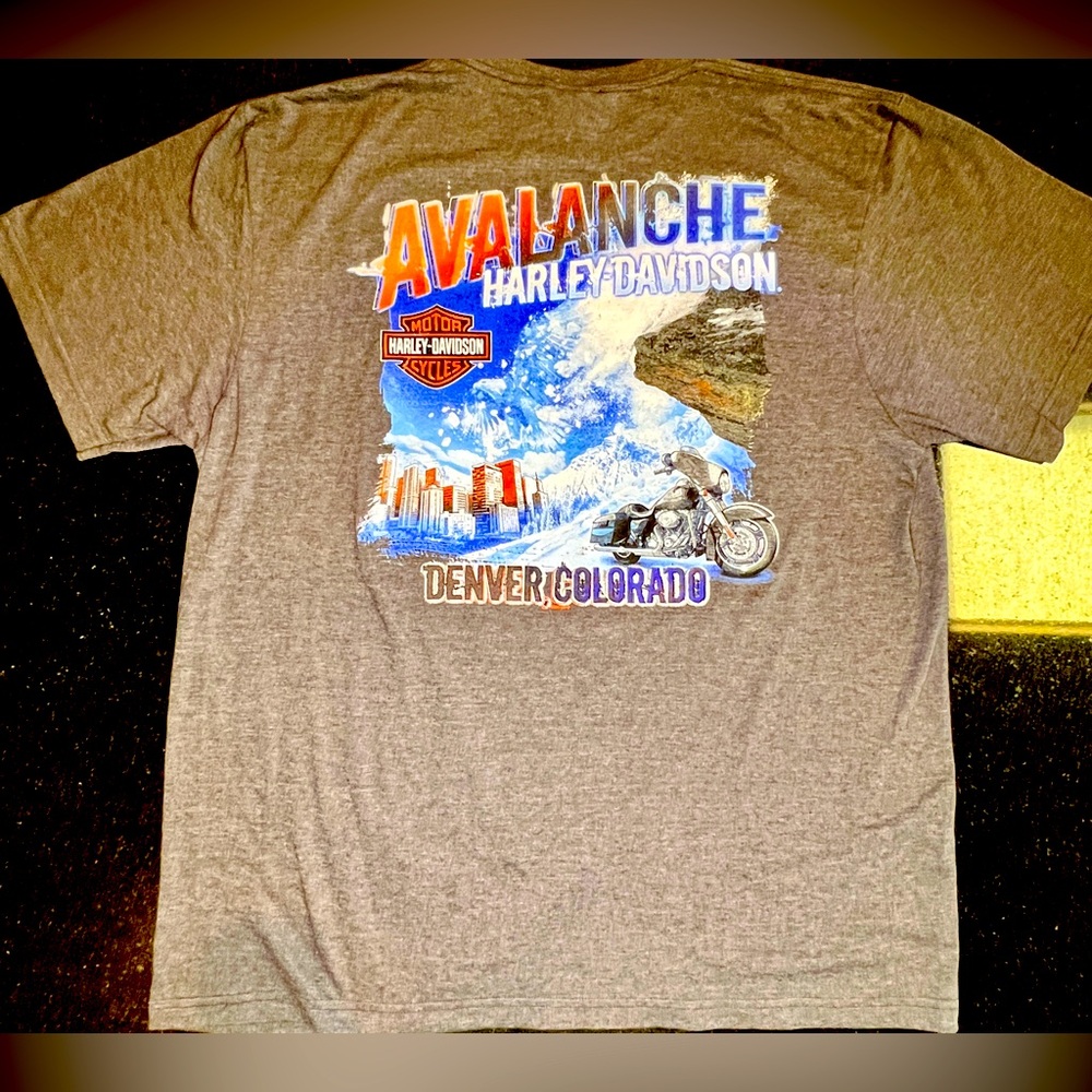 Harley Davidson Avalanche Denver Colorado T-Shirt XL Heathered Gray Graphic NWOT
